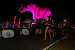 BIB: 
                            <button type="button" onclick="openModal(26535038)" class="btn btn-primary btn-sm float-right btn-popup" data-toggle="modal" data-target=".modal-high-quality">
                        <i class="fas fa-shopping-cart"></i> Add to Cart
                    </button>
                                            <button type="button" onclick="isThisMe(26535038, true)" class="btn btn-success btn-sm float-right btn-popup btn-isme hidden" data-toggle="tooltip" data-placement="bottom" title="นี่คือรูปของคุณใช่ไหม คลิกที่นี่เพื่อเอาเข้าอัลบั้ม">
                        <i class="fas fa-plus"></i> Add to album
                    </button>
                    <button type="button" onclick="isThisMe(26535038, false)" class="btn btn-warning btn-sm float-right btn-popup btn-isnotme hidden">
                        <i class="fas fa-ban"></i> Remove from album
                    </button>